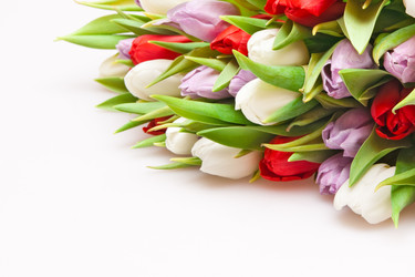 Similar image 168735