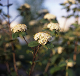 Similar image 168739