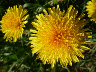 Similar image 168740