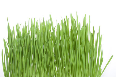 Similar image 168744