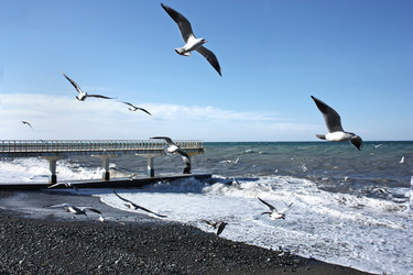 Similar image 168748