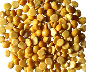 Similar image 168753