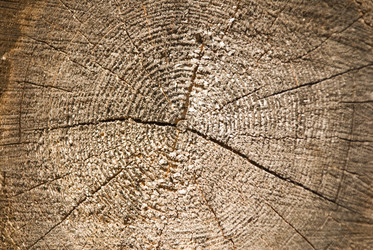 Similar image 168760