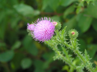 Similar image 168768