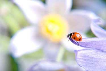 Similar image 168769