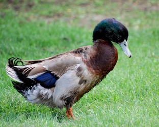 Similar image 168774