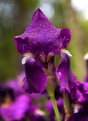 Similar image 168777