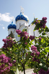 Similar image 168778