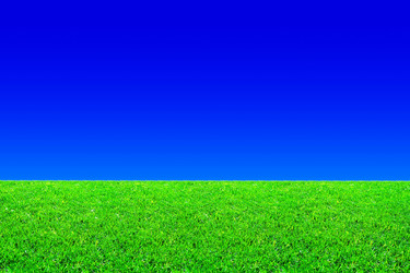 Similar image 168799