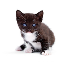 Similar image 168808