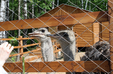 Similar image 168818