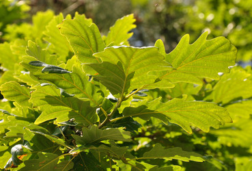 Similar image 168839