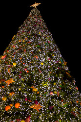 Similar image 168844