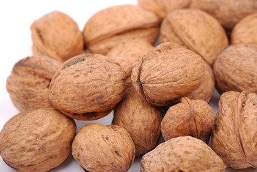 Similar image 168849