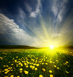 Similar image 168864