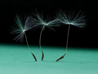 Similar image 168866