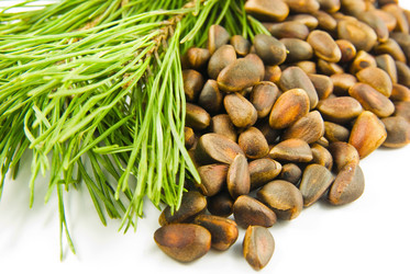 Similar image 168881