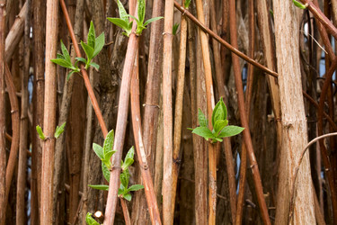 Similar image 168893