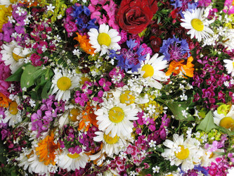 Similar image 168912