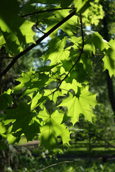 Similar image 168914