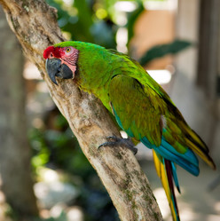 Similar image 168916