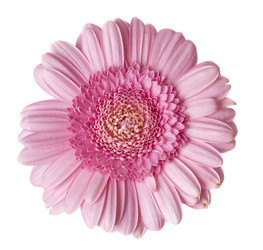 Similar image 168943