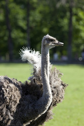 Similar image 168972