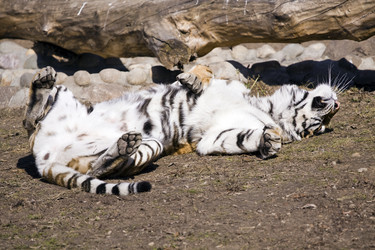 Similar image 168988