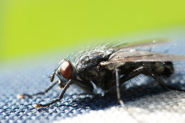 Similar image 168989