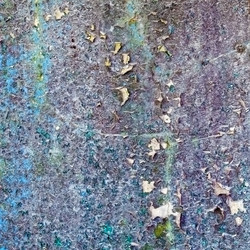 Similar image 169007