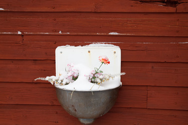 Similar image 169061