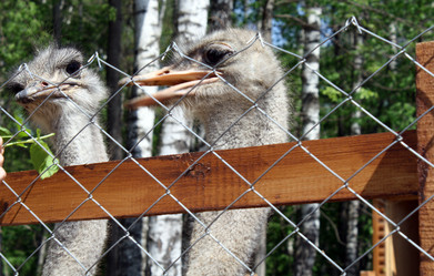 Similar image 169067