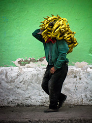 Similar image 169075