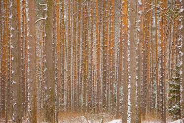 Similar image 169084