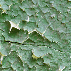 Similar image 169090