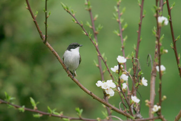 Similar image 169114