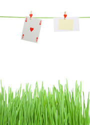 Similar image 169120