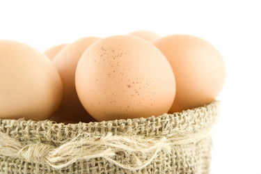 Similar image 169146