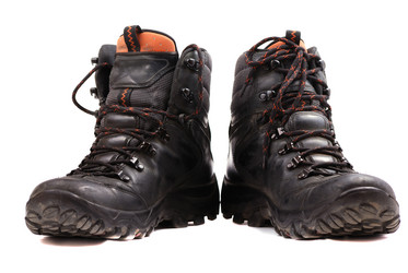 Similar image 169164