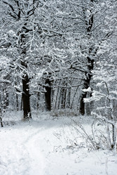 Similar image 169173