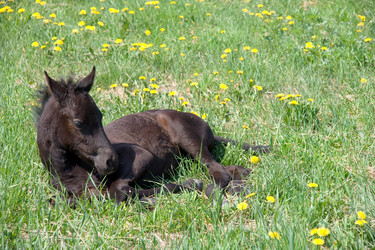 Similar image 169179