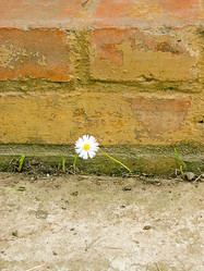 Similar image 169222