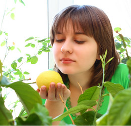 Similar image 169228