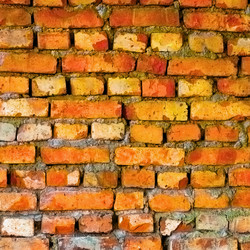 Similar image 169232