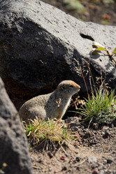 Similar image 169236