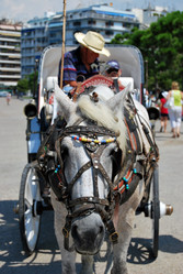 Similar image 169237