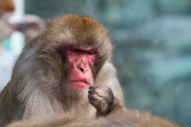 Similar image 169255