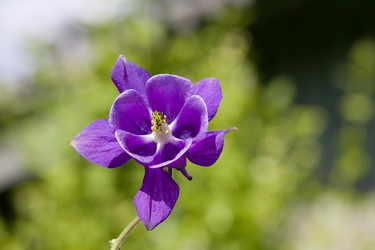 Similar image 169259