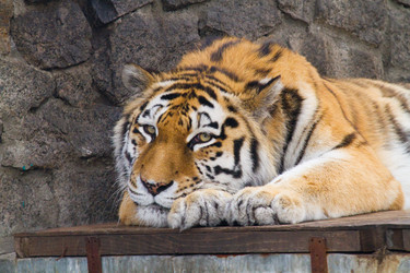 Similar image 169265