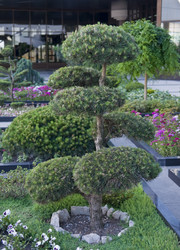 Similar image 169269